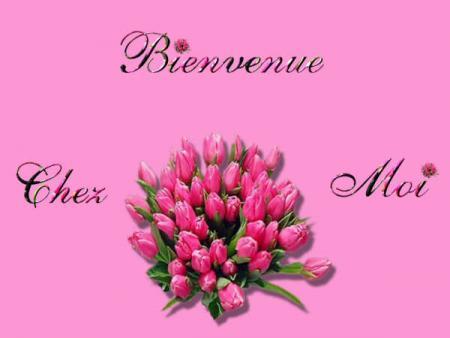 bienvenue